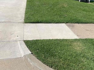 Alexandra S.'s lawn maintenance service result