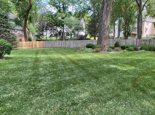 Stephanie A.'s lawn care services service result