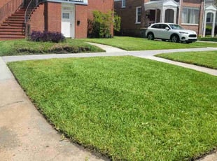 James D.'s yard service service result