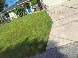 Rebekah A.'s lawn service service result