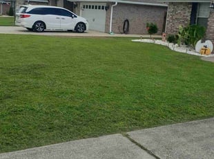 Robert P.'s turf maintenance service result