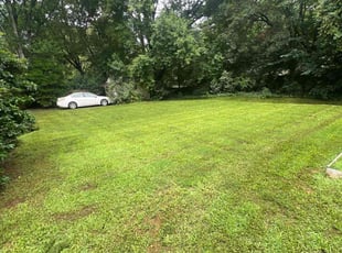 Eric B.'s lawn service service result