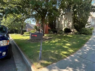 Latreecia F.'s lawn maintenance service result