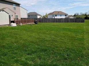 Willie W.'s grass cutting service result