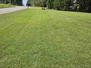 Etta P.'s turf care service result