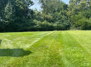 Zack m.'s lawn service service result