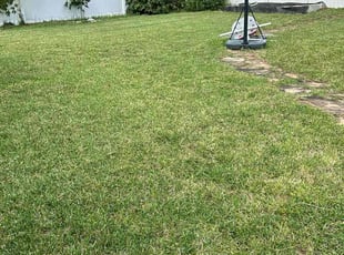 Bryan P.'s lawn maintenance service result