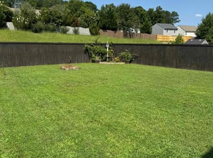 Lisa A.'s turf care service result