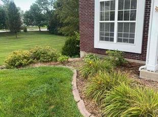 Brooke F.'s Bush Trimming service result