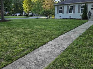 Linda F.'s grass maintenance service result