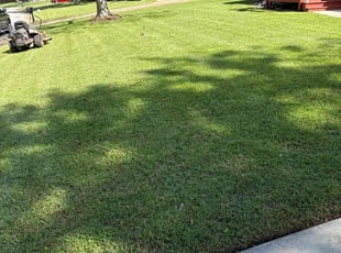 Bonnie S.'s grass maintenance service result