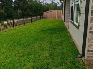 Jedawn K.'s turf care service result