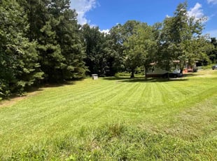 Kerri M.'s lawn care service result