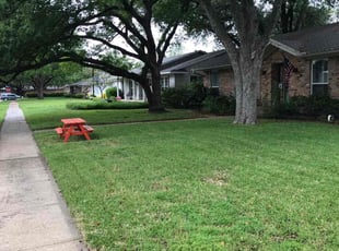 Malachi L.'s lawn care services service result