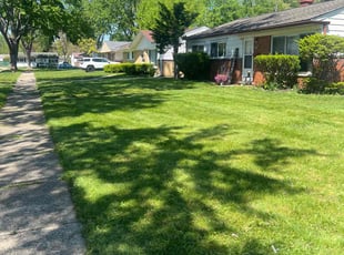 Diane K.'s lawn maintenance service result