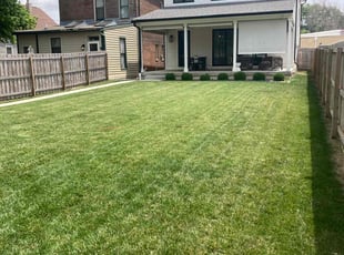 Amber S.'s grass maintenance service result