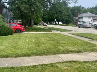 Linda C.'s lawn service service result