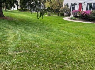 Jerlin B.'s grass maintenance service result