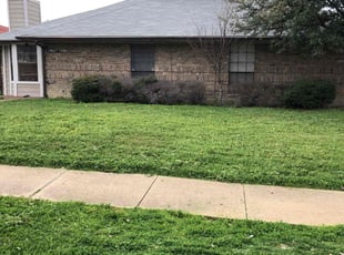 Ashley R.'s turf care service result