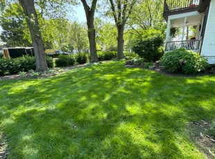 Miller F.'s lawn service service result