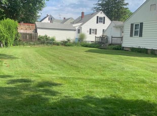 Tammy G.'s lawn service service result