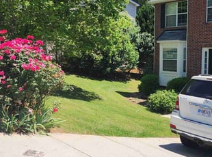 Patsy T.'s lawn maintenance service result