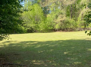 Ayanna C.'s turf maintenance service result