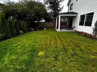 Ivy V.'s lawn maintenance service result