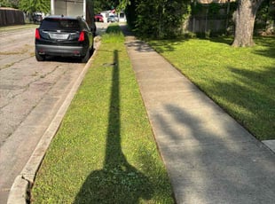 James J.'s turf maintenance service result