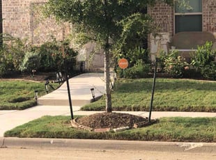 Ryan W.'s Flower Bed Weeding service result