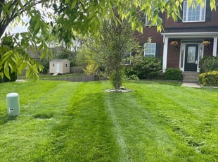 Steven D.'s lawn care services service result