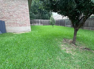 Xihong Y.'s lawn care service result