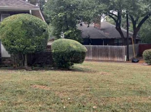 Nancy G.'s Bush Trimming service result