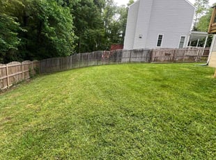 Carla F.'s grass maintenance service result
