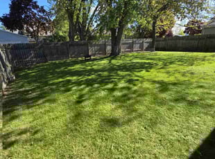 Linda M.'s lawn care service result