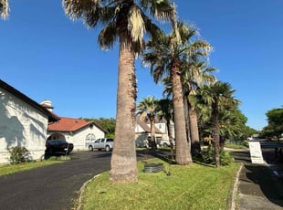 Donna D.'s lawn service service result