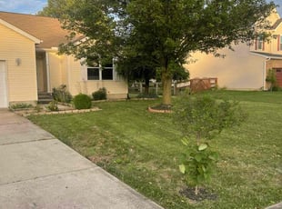 Marc K.'s lawn care service result