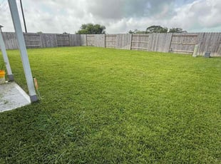 Tyrone E.'s grass cutting service result