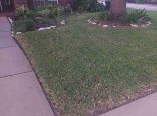 Michael M.'s Cleanup service result