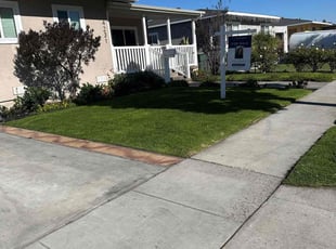 Carrie S.'s grass cutting service result