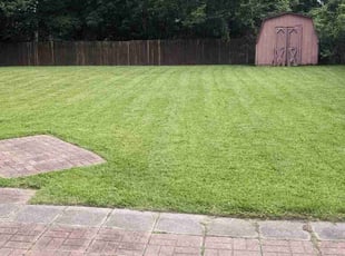 Douglas S.'s turf care service result
