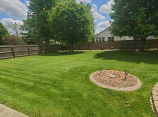 Anuj U.'s grass maintenance service result