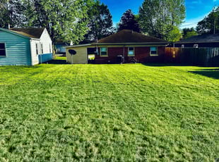 Serene P.'s lawn maintenance service result