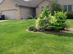 William S.'s grass maintenance service result