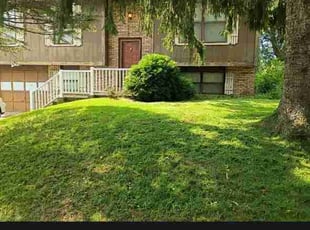Michael G.'s lawn care services service result