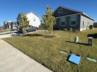 Anthony F.'s lawn service service result