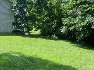 Morgan H.'s turf care service result
