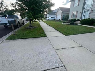 Christine E.'s landscaping service result