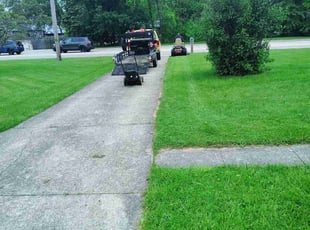 Angela P.'s grass maintenance service result