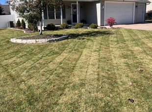 Alice T.'s lawn maintenance service result